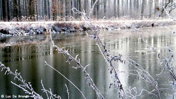 Wellemeersen Denderleeuw wandeling sneeuw