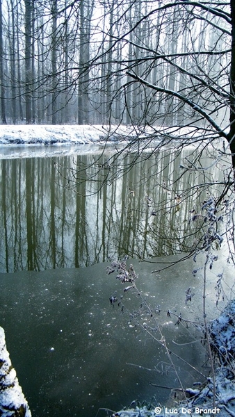 Wellemeersen Denderleeuw wandeling sneeuw