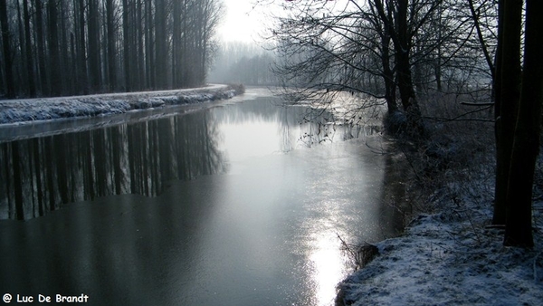 Wellemeersen Denderleeuw wandeling sneeuw