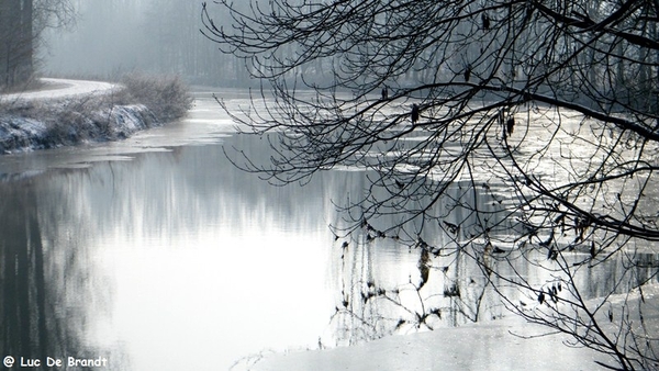 Wellemeersen Denderleeuw wandeling sneeuw