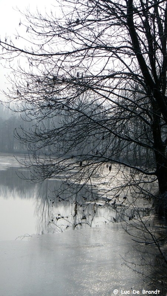 Wellemeersen Denderleeuw wandeling sneeuw