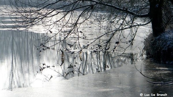 Wellemeersen Denderleeuw wandeling sneeuw