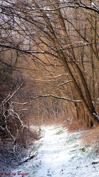 Wellemeersen Denderleeuw wandeling sneeuw