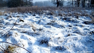 2012_02_04 Denderleeuw Wellemeersen 105