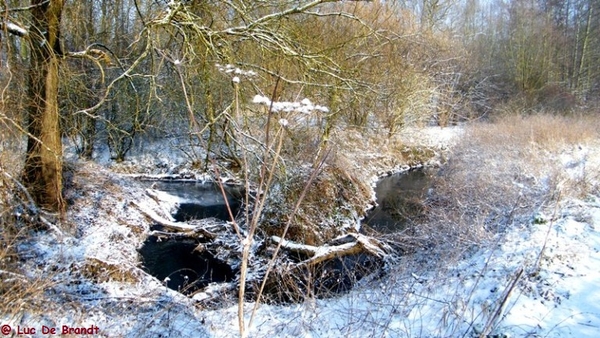 Wellemeersen Denderleeuw wandeling sneeuw