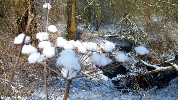 Wellemeersen Denderleeuw wandeling sneeuw