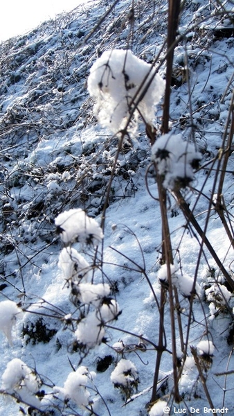 Wellemeersen Denderleeuw wandeling sneeuw