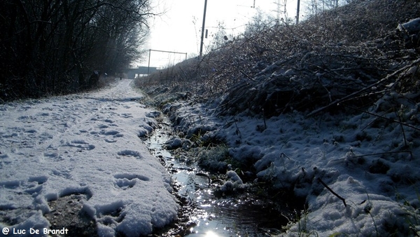 2012_02_04 Denderleeuw Wellemeersen 127