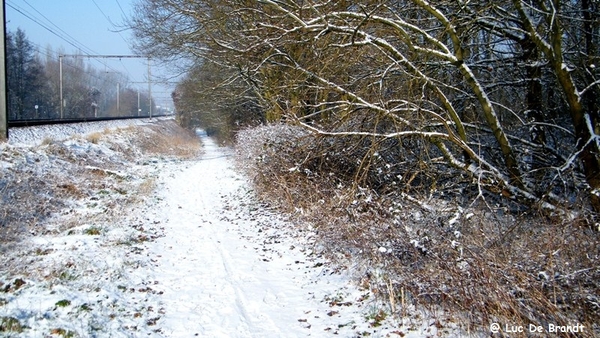 2012_02_04 Denderleeuw Wellemeersen 130