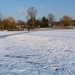 79-