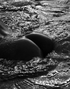 23681_lieke-07_123_254lo