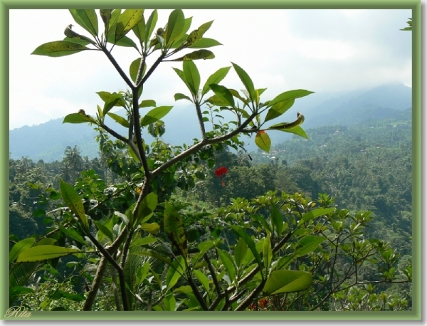 Tripje Sambangan village Shanti