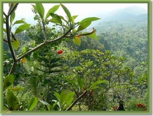 Tripje Sambangan village Shanti