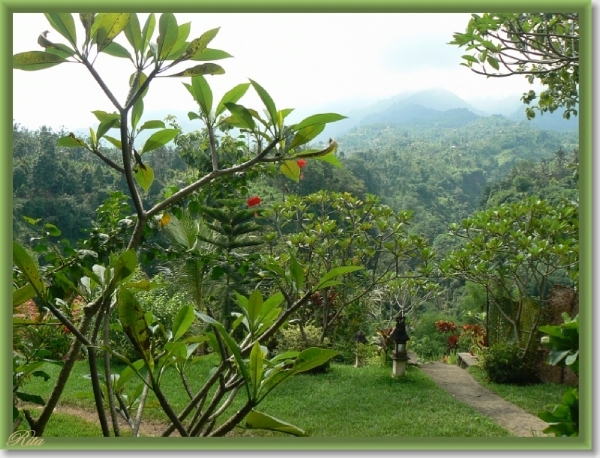 Tripje Sambangan village Shanti