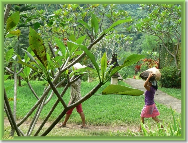 Tripje Sambangan village Shanti