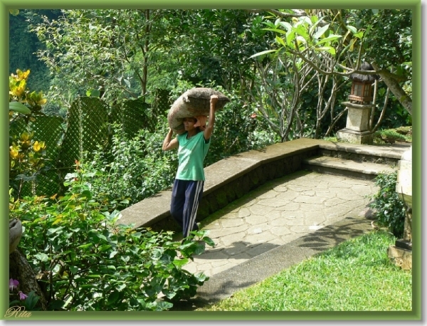 Tripje Sambangan village Shanti