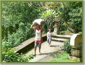 Tripje Sambangan village Shanti