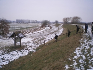 In rechte lijn naar D.M.
