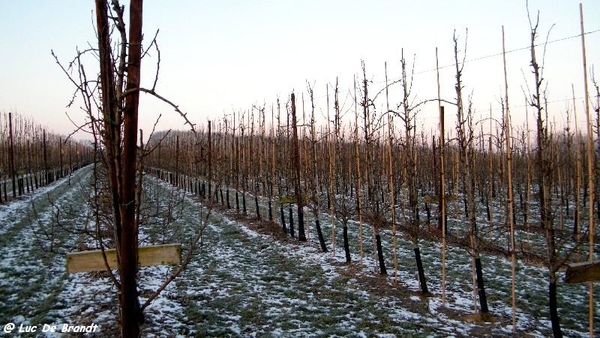 wandeling Aktivia Horizon Opwijk