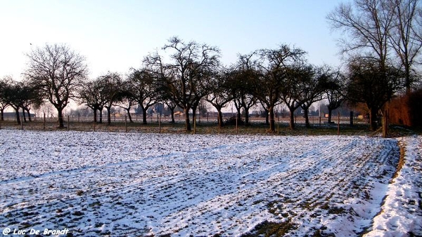 wandeling Aktivia Horizon Opwijk