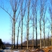2012_02_11 Opwijk 32