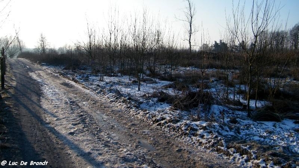 wandeling Aktivia Horizon Opwijk