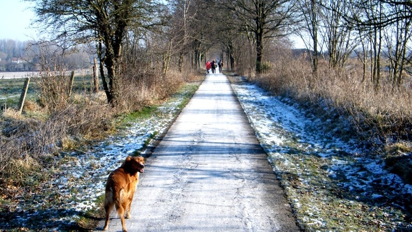 wandeling Aktivia Horizon Opwijk