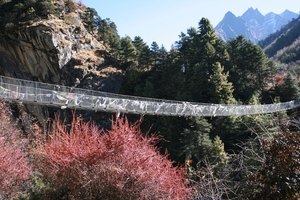 Prima brug