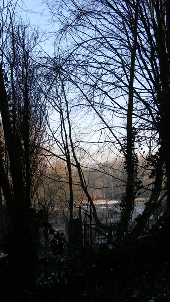 DSCN1863