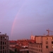 Regenboog