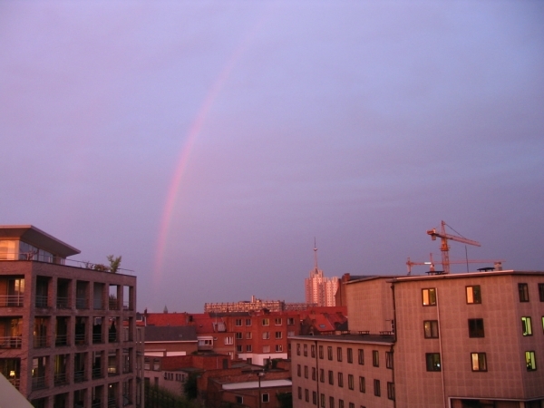 Regenboog