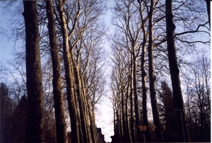 Arenbergdreef