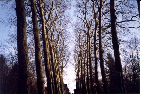 Arenbergdreef