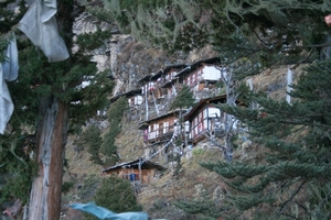 Paro