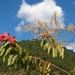 Khamsum Yuelley Namgyel Chorten