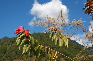 Khamsum Yuelley Namgyel Chorten