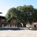 Punakha : Dzong
