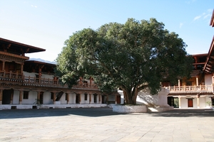 Punakha : Dzong