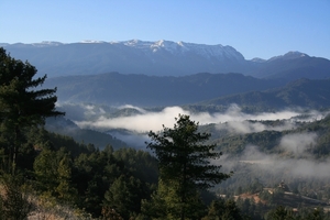 Tangvallei