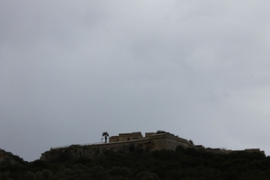 IMG_0185