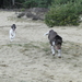 DSC05990