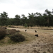 DSC05995