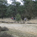 DSC05996