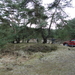 DSC06010