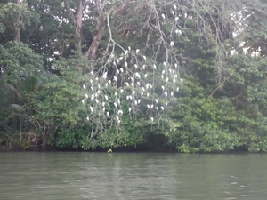 rondvaart in natuurpark Tortuguerro