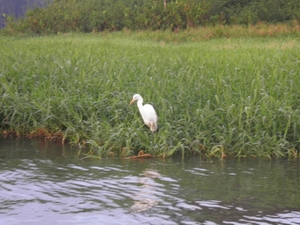 rondvaart in natuurpark Tortuguerro