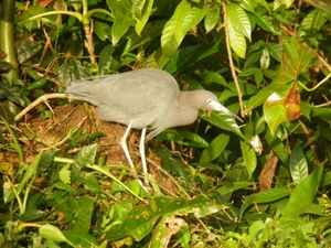 rondvaart in natuurpark Tortuguerro