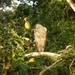 rondvaart in natuurpark Tortuguerro