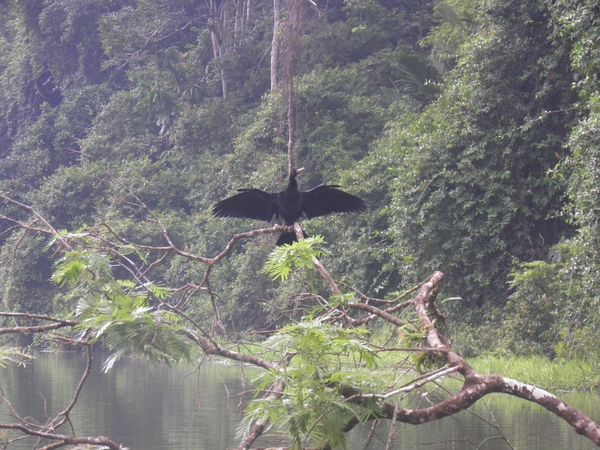 tijdens rondvaart in natuurpark Tortuguerro