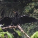 tijdens rondvaart in natuurpark Tortuguerro